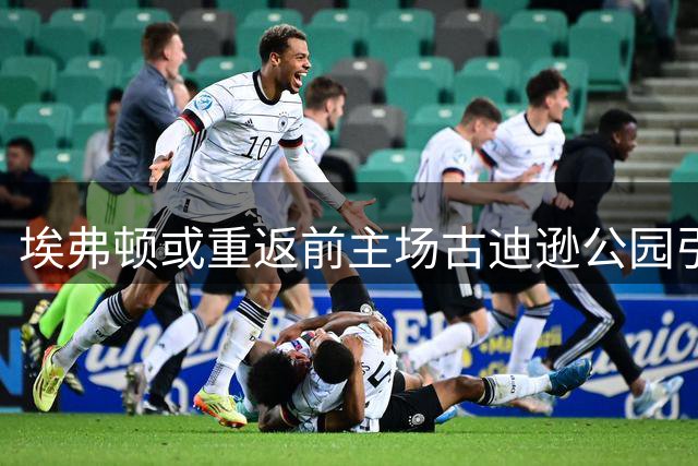 埃弗顿或重返前主场古迪逊公园引热议