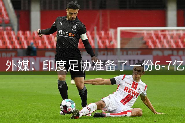 外媒：印度足协准备了一份6-7亿卢比的方案邀请巴西来印参赛