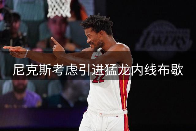 尼克斯考虑引进猛龙内线布歇