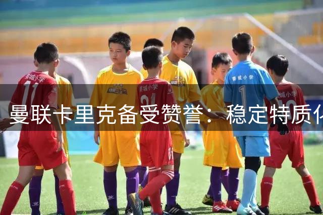 曼联卡里克备受赞誉：稳定特质化解棘手质疑