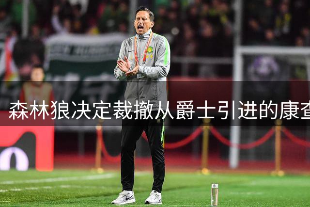 森林狼决定裁撤从爵士引进的康查尔