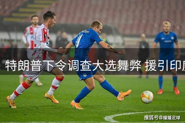 特朗普下令调查大选舞弊 援引印度选举制度施压国会